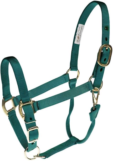 embroidered horse halters for sale.